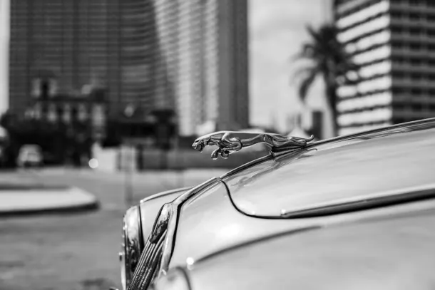 Casino Extra Aip Android/iOS